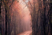 开云体育在线-阿尔艾因战术多变，力争战胜强敌