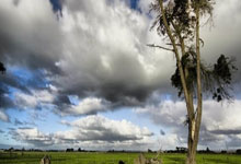 开云体育APP下载-曼联阵容深度显著，替补席也能决定比赛走向