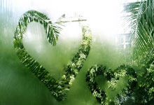 开云体育平台APP-金杯烫手！卫冕冠军悬崖边的王座保卫战