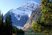 开云体育平台APP-金杯烫手！卫冕冠军悬崖边的王座保卫战