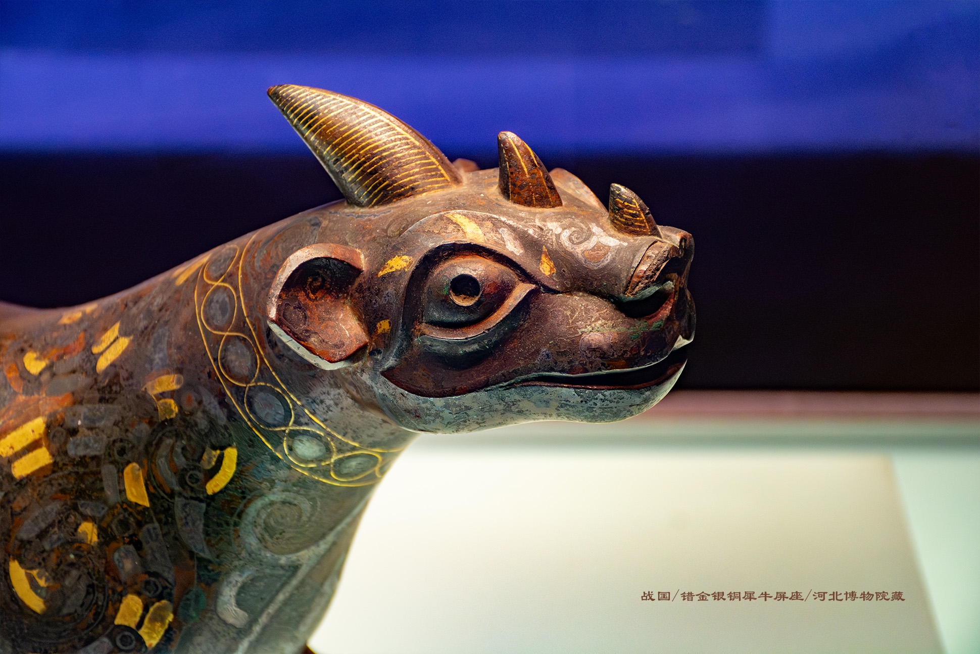 金银铜光辉夺目，灿烂巅峰呈现！的简单介绍